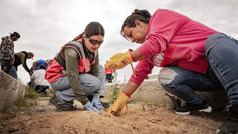 Reforestación en Mazapil apuesta por la biodiversidad